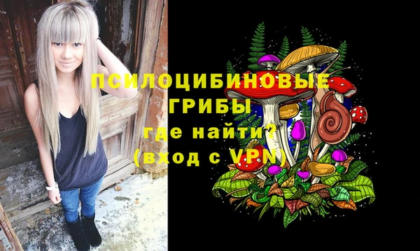 стафф Алзамай