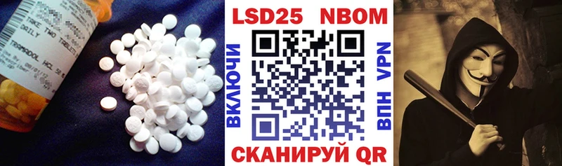 ссылка на мегу зеркало  Камбарка  ЛСД экстази кислота 