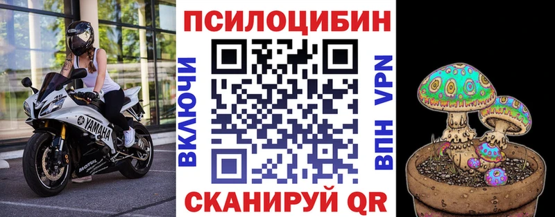 Галлюциногенные грибы мухоморы  Камбарка 